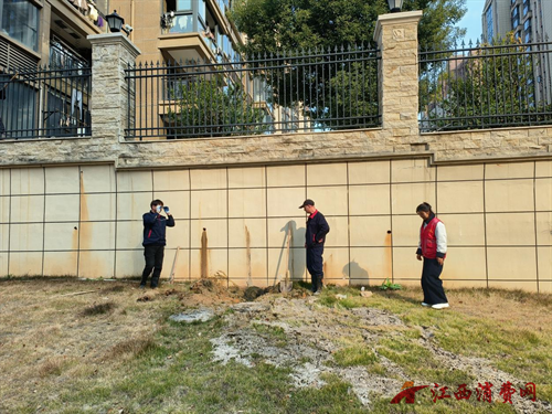 1768807417214315.png 图片6.png