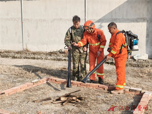 1768963255508372.jpg 640 (4).jpg