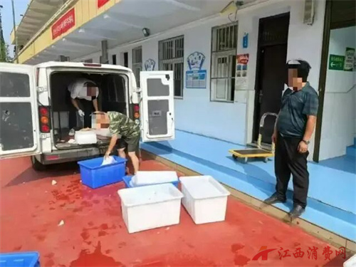 1769045561950293.jpg 640 (1).jpg