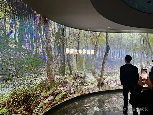 1769405838853884.jpg 640 (2).jpg