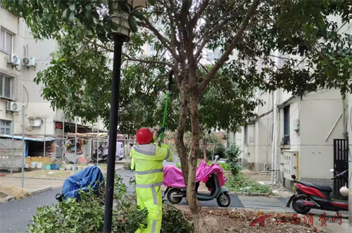 1769582384910207.png 图片15.png