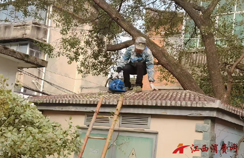 1770193584486458.png 图片8.png