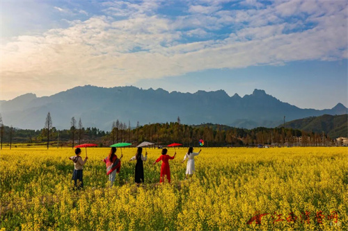 1773892840413009.jpg 640.jpg