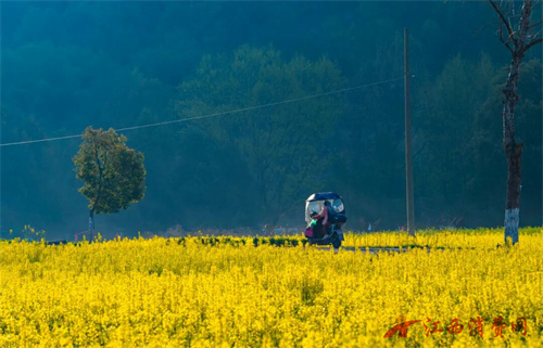 1773898935567733.jpg 640 (4).jpg