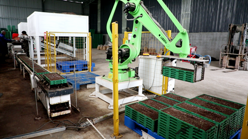 1773993604114774.png 640.png