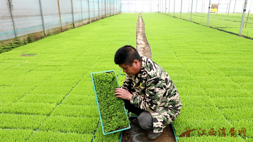 1773993607481139.png 640 (1).png