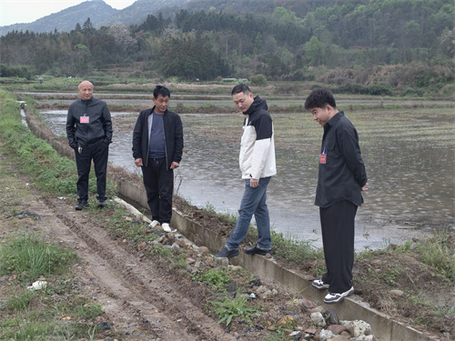 1775117571613975.png 图片1.png