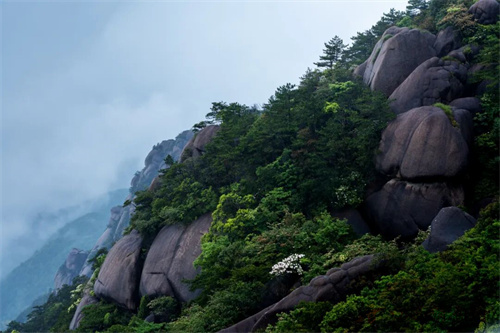 1775613881521552.jpg 640 (1).jpg