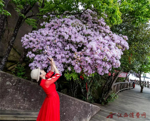 1775613890248050.jpg 640 (2).jpg