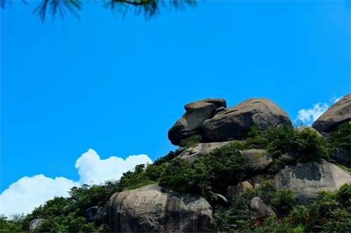 1775613905238896.jpg 640 (3).jpg