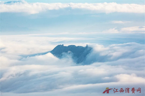 1775613915344613.jpg 640 (4).jpg