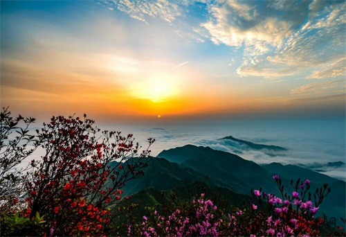 1775613924759678.jpg 640 (5).jpg