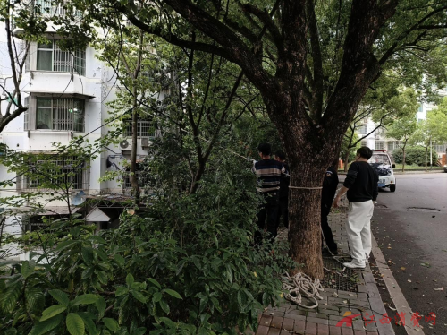 1775614664844440.png 图片1.png