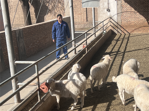 1775617267277854.png 图片6.png