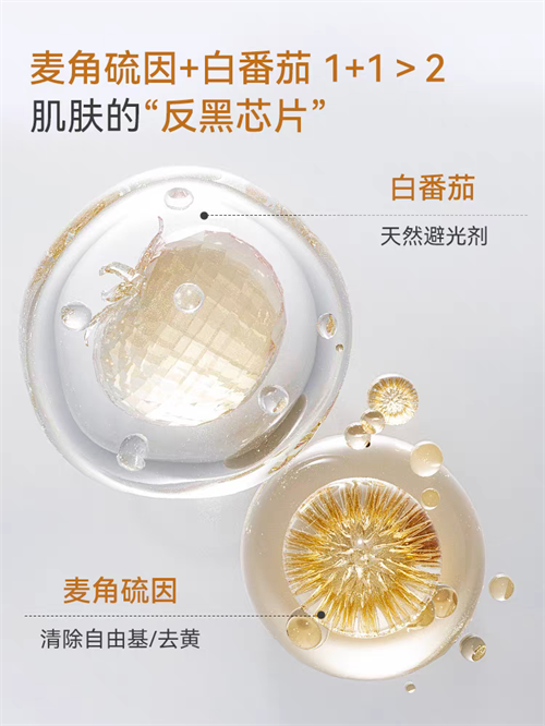 1775702329401508.png 69d6f1742abbd.png