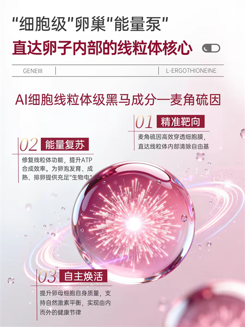 1775702334646391.png 69d6f1607ef89.png