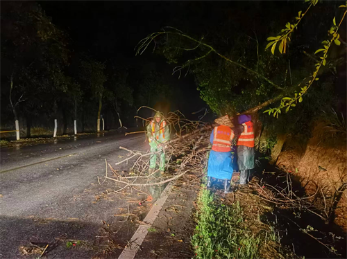 1775800010976899.png 图片1.png