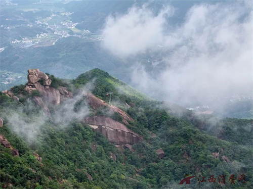 1776131557504193.jpg 640 (2).jpg