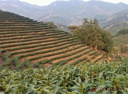 1776149073939183.jpg 640 (1).jpg