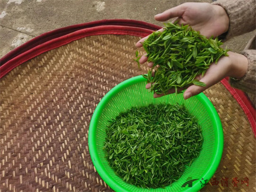 1776149078275006.jpg 640 (2).jpg