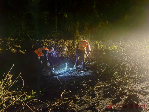 1776216614929046.png 图片2.png