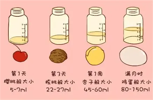 1779429636990969.png 640.webp (1).png