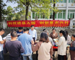 景德镇市昌江区：科技下乡绽新花，果业振兴启新篇