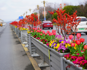 饶城繁花次第开,这份城管版赏花指南请查收
