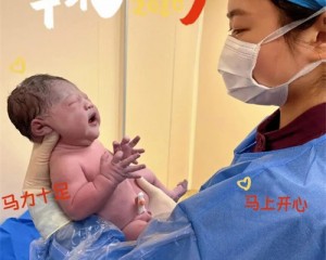 “马”上见面！产房里的新年惊喜