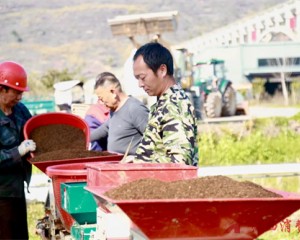 田埂上的“红马甲” 抢出春耕好苗头