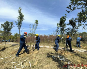 方大特钢开展义务植树活动 生态工厂再添新绿