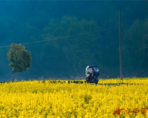 上饶灵山踏春寻趣,不负好春光