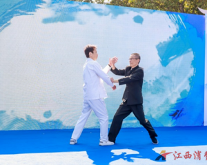 中国人寿3·15在行动 把消保知识送到百姓身边