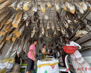 ‌孟加拉国的库克斯巴扎——世界上最大的晒鱼场