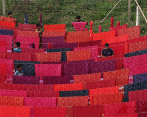 孟加拉国纱丽：传统与现代风情的碰撞