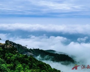 灵山多雨韵,烟雨正堪赏