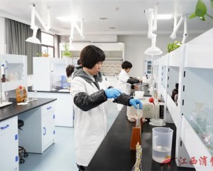 江西铅山工业 | 福尔鑫医药:院士工作站里的“化学反应”