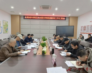 江西省共青城市第四次全国文物普查工作顺利通过省级专家组验收