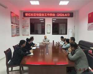 南昌县东新街道银亿小区（南区）物业管理委员会协调会召开