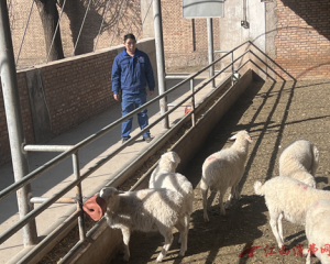 【特钢先锋】方大特钢优秀员工周升:一片丹心映东乡