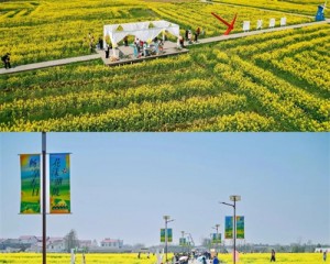 春光正好，热血同行！江西省血液中心邀您共赴乡野春日之约！——2026年第二季度固定献血者保留交流活动报名正式开启