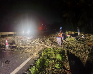 江西上饶德兴公路中心深夜快速处置路树倾倒险情