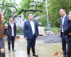 上饶市玉山县岩瑞镇扎实开展四月份“安全防范警示日”活动