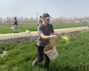 方言反诈进农田！中国人寿为春耕农户织密“金融防护网”