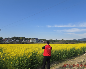 人保财险江西分公司多维绘好乡村振兴“春耕图”