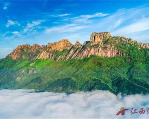 上饶灵山开启云海+高山杜鹃模式