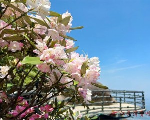 来上饶灵山，赴一场山野浪漫之约